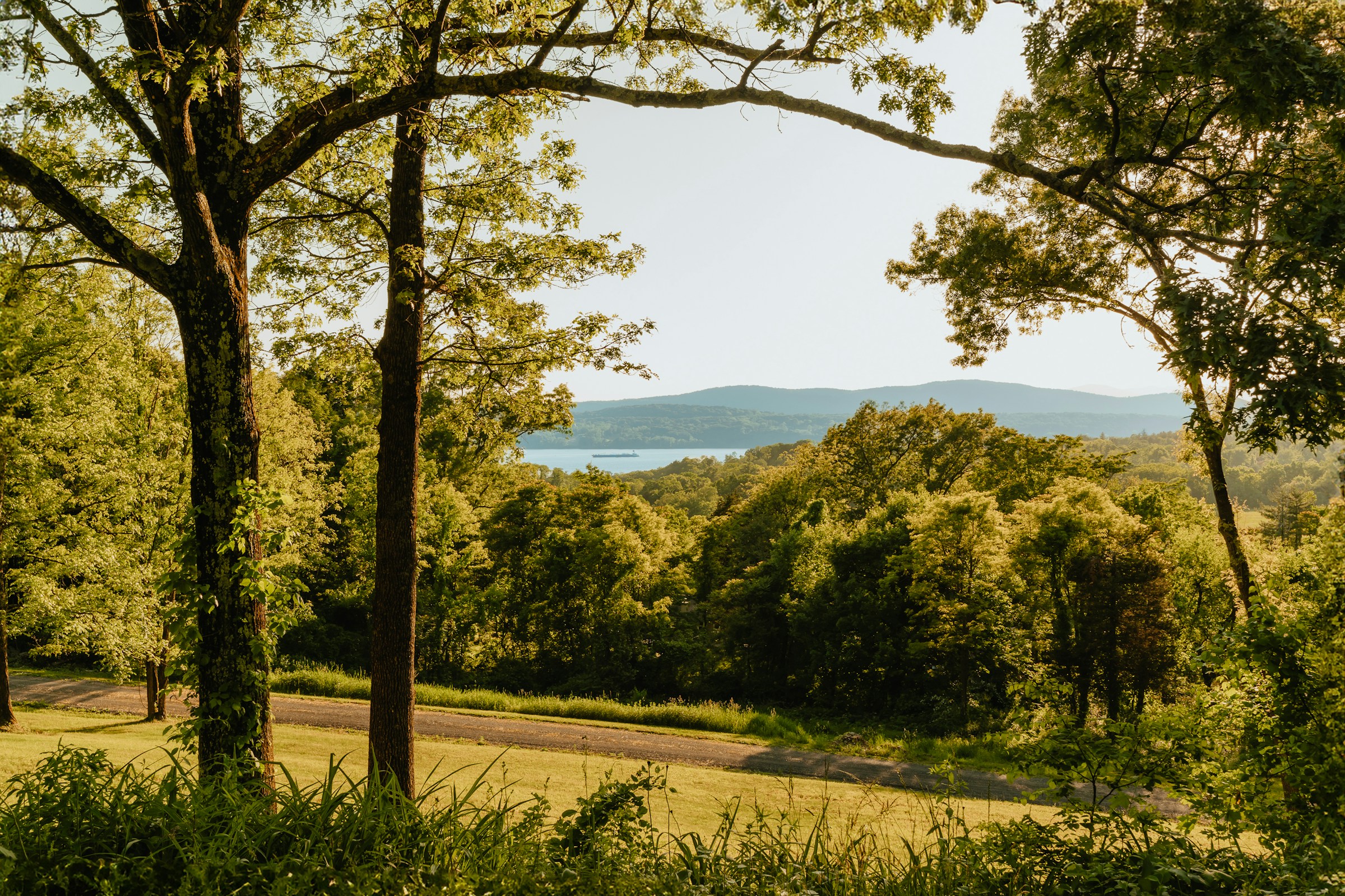 The Hudson River viewed through trees in Rhinebeck, photographed by Clay Banks